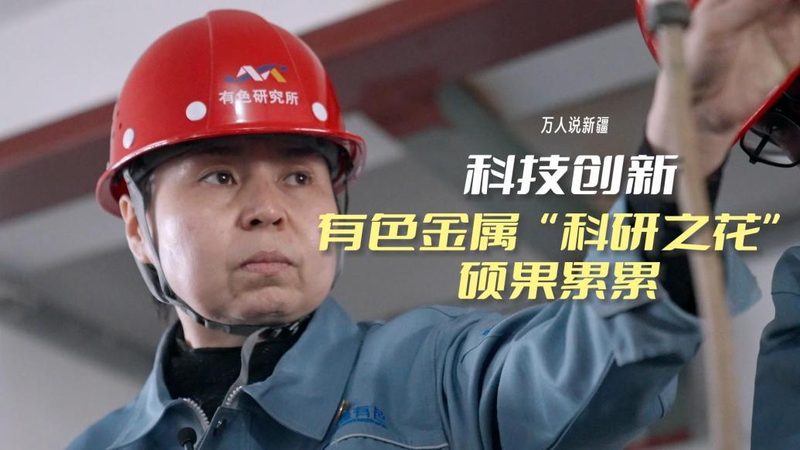 定制化与标准化：教育机构数字化解决方案的差异化选择**